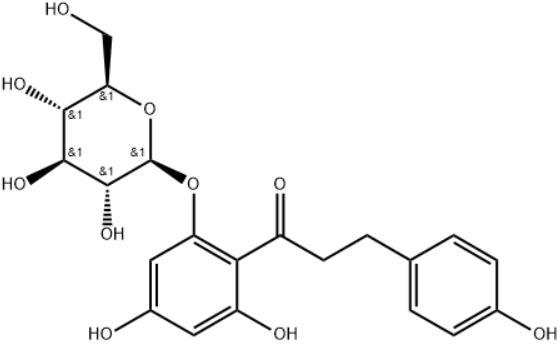 Phlorizin